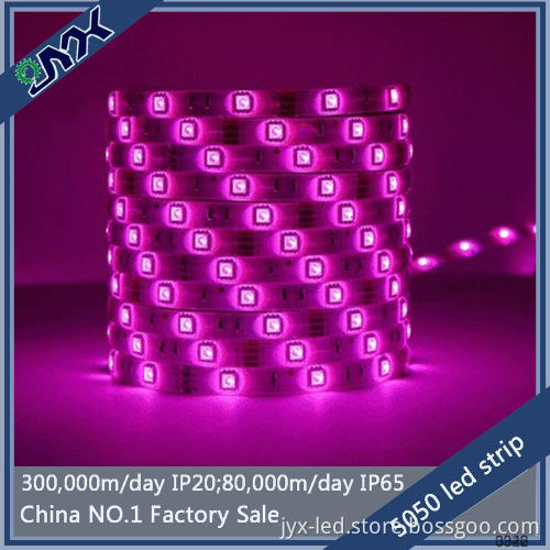 ultraviolet led strip 5050 smd 5m 300led/roll bicolor led strip 12v 14.4w/m ip20 double pcb led plant grow light strip